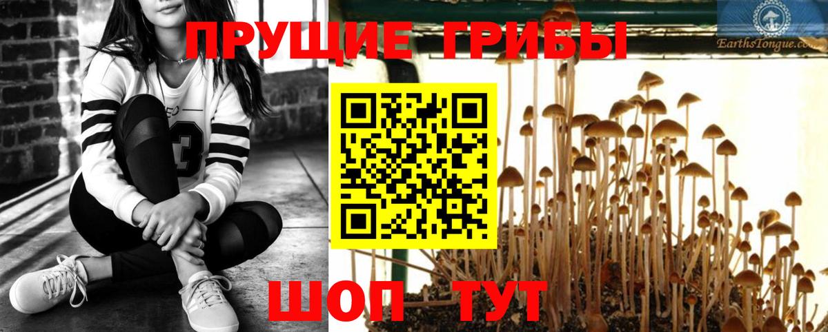Щёкино  Галлюциногенные грибы Psilocybe  Вход с VPN  Псилоцибиновые грибы Cubensis 